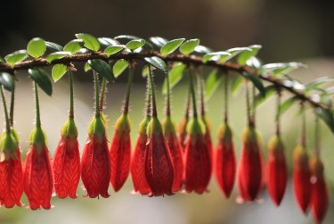 肇庆鼎湖区4私人快速借钱网，轻松解决资金难题