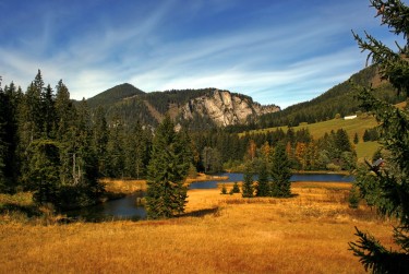 肇庆鼎湖区4民间私贷攻略：揭秘低成本借贷的秘密