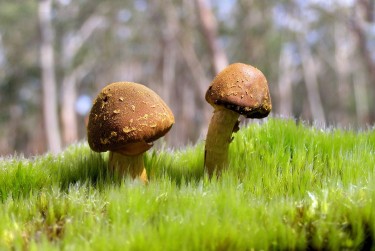 肇庆鼎湖区4私人老板放款：轻松融资的秘密通道